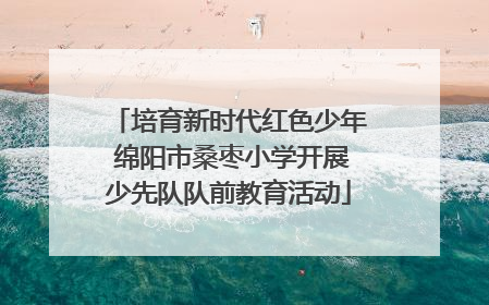 培育新时代红色少年 绵阳市桑枣小学开展少先队队前教育活动